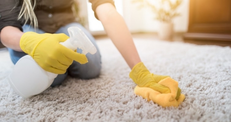 Como remover manchas no carpete e tapetes de hotel? Dicas para causar boas impressões